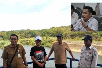 Borneo Daily